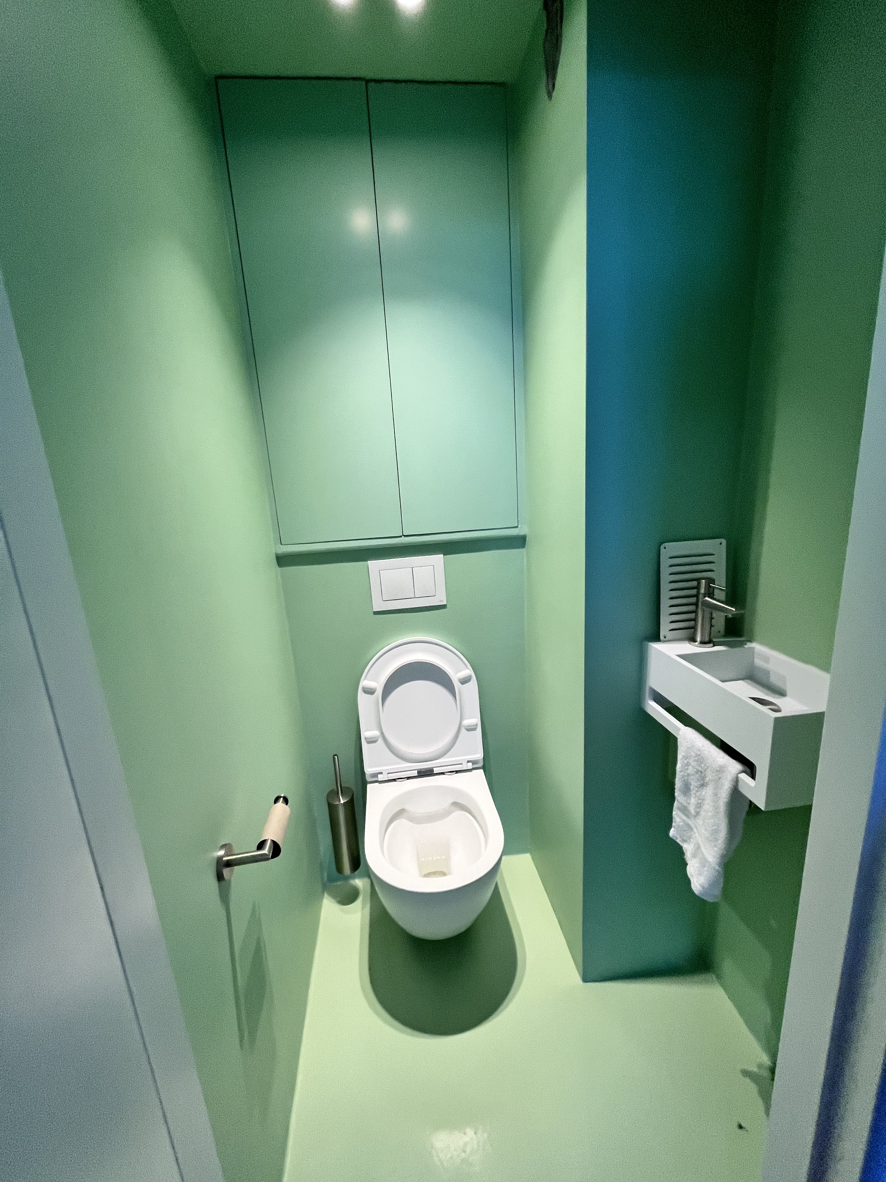 Green painted bathroom